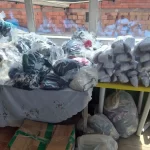 Niños de la comunidad de San Germán junto a personal de la fundación durante una jornada educativa sobre proyecto de vida y permanencia estudiantil.